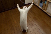 ストレッチはいつしたらいいですか？｜姿勢矯正専門整体院ミント