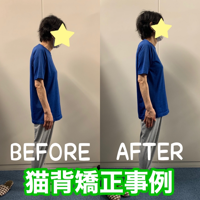 【当院の自律神経調整整体とは?】 【当院の自律神経調整整体とは?】