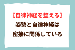 【自律神経を整体で整える】姿勢が整うと自律神経が整う理由 【自律神経を整体で整える】姿勢が整うと自律神経が整う理由